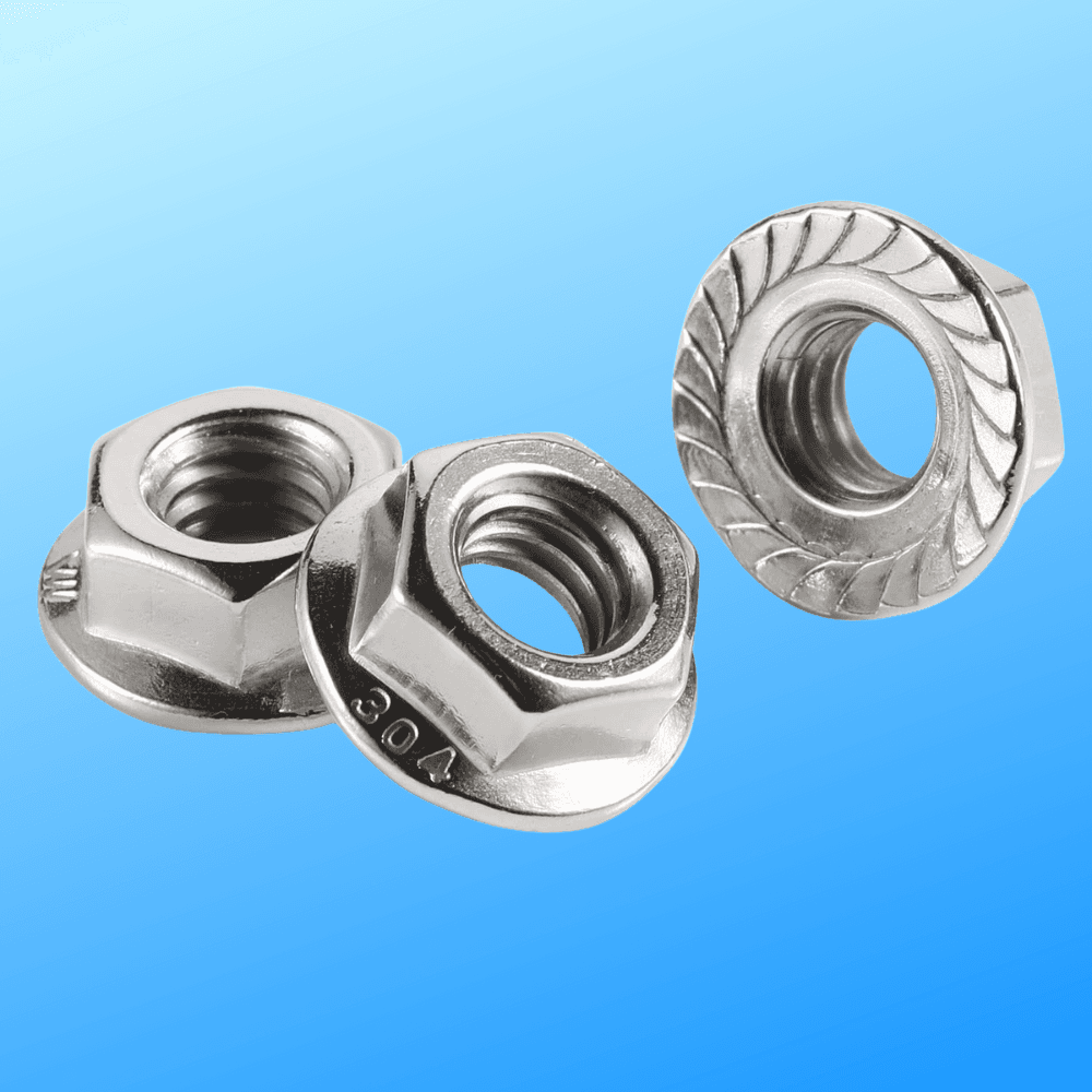 Flange Nut and Flage Nut SS